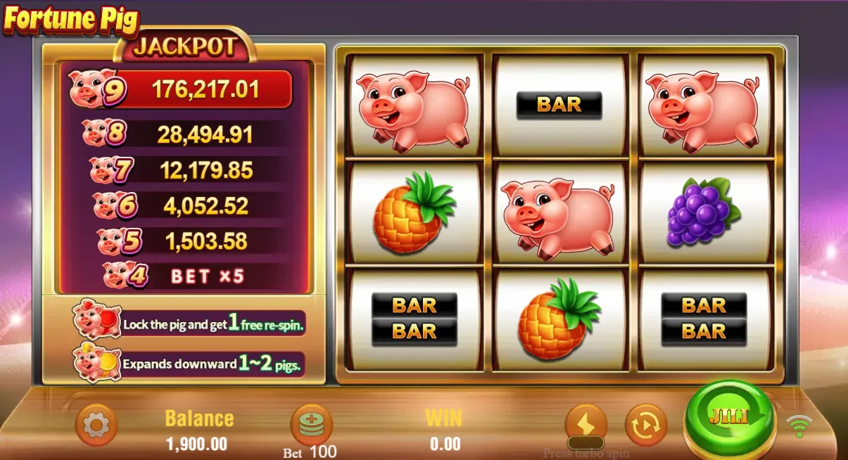 Fortune Pig
